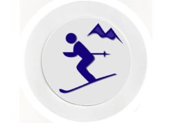 Skiing - Car Tax Disc Permit Window Holder - Reusable