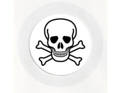 Skull & Bones - Car Tax Disc Permit Window Holder - Reusable