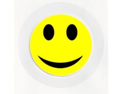 Smiley Face - Car Tax Disc Permit Window Holder - Reusable