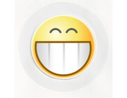Scary Grin - Car Tax Disc Permit Window Holder - Reusable