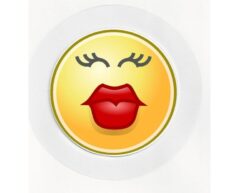 Smiley Kiss - Car Tax Disc Permit Window Holder - Reusable