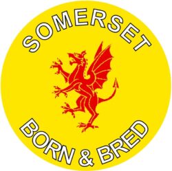 Somerset Born & Bred - TWO PACK - Car Bumper Laptop Window Decal County Flag Sticker