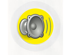 Disco Speaker - Car Tax Disc Permit Window Holder - Reusable