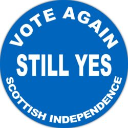 Still Yes - Vote Again - TWO PACK - Car Bumper Laptop Window Decal Sticker Statement Quote Scottish Referendum Independence