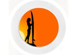 Surf Babe - Car Tax Disc Permit Window Holder - Reusable