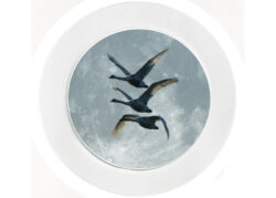 Flying Swans - Car Tax Disc Permit Window Holder - Reusable