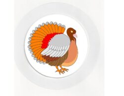 Turkey - Car Tax Disc Permit Window Holder - Reusable