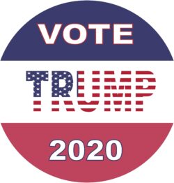Vote Trump 2020 - TWO PACK - Car Bumper Laptop Window Decal Sticker