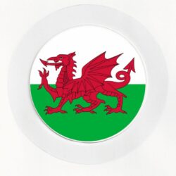 Wales/Welsh Flag - Car Tax Disc Permit Window Holder - Reusable