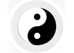 Yin Yang - Car Tax Disc Permit Window Holder - Reusable