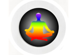 Yoga - Car Tax Disc Permit Window Holder - Reusable