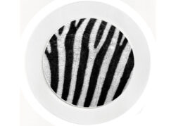Zebra Print - Car Tax Disc Permit Window Holder - Reusable