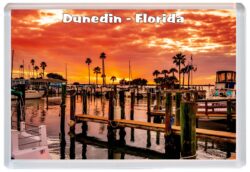 Dunedin - Florida - USA - Jumbo Fridge Magnet Souvenir Gift Present 20G1