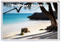 Barbados - Caribbean - Jumbo Fridge Magnet Souvenir Gift Present 19A5