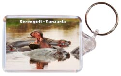 Serengeti - Tanzania - Africa - Double Sided Large Keyring Key Fob Chain Ring Gift Present Souvenir 20T2