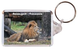 Serengeti - Tanzania - Africa - Double Sided Large Keyring Key Fob Chain Ring Gift Present Souvenir 20T3