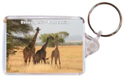 Serengeti - Tanzania - Africa - Double Sided Large Keyring Key Fob Chain Ring Gift Present Souvenir 20T4