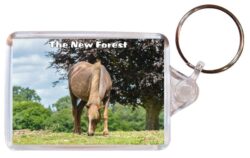 The New Forest - Double Sided Large Keyring Key Fob Chain Ring Gift Present Souvenir 20E1