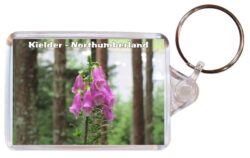 Kielder Forest - Northumberland - Double Sided Large Keyring Key Fob Chain Ring Gift Present Souvenir 20E4