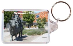 Newport - Wales - Double Sided Large Keyring Key Fob Chain Ring Gift Present Souvenir 20W2