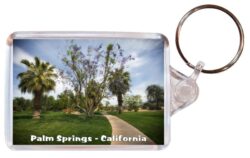 Palm Springs - California - USA - Double Sided Large Keyring Key Fob Chain Ring Gift Present Souvenir 20US4