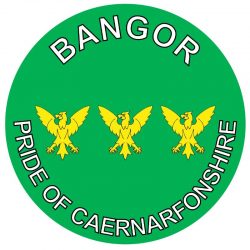 Bangor - Pride of Caernarfonshire - TWO PACK - Car Bumper Laptop Window Decal Wales County Flag Sticker