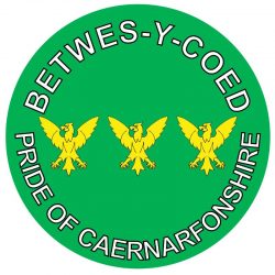 Betwes-y-Coed- Pride of Caernarfonshire - TWO PACK - Car Bumper Laptop Window Decal Wales County Flag Sticker