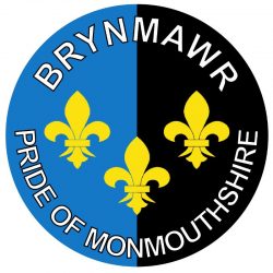 Brynmawr - Pride of Monmouthshire - TWO PACK - Car Bumper Laptop Window Decal Wales County Flag Sticker