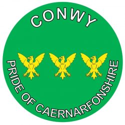 Conwy - Pride of Caernarfonshire - TWO PACK - Car Bumper Laptop Window Decal Wales County Flag Sticker