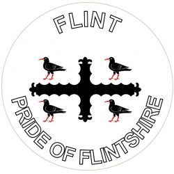 Flint - Pride of Flintshire - TWO PACK - Car Bumper Laptop Window Decal Wales County Flag Sticker