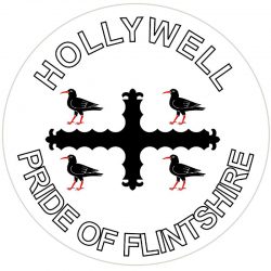 Hollywell - Pride of Flintshire - TWO PACK - Car Bumper Laptop Window Decal Wales County Flag Sticker