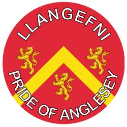 Llangefni - Pride of Anglesey - TWO PACK - Car Bumper Laptop Window Decal Wales County Flag Sticker