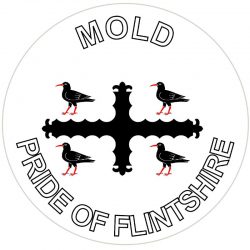 Mold - Pride of Flintshire - TWO PACK - Car Bumper Laptop Window Decal Wales County Flag Sticker