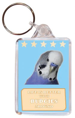 Life is Better with Budgies around - Double Sided Large Keyring Key Fob Chain Ring Gift Present Souvenir Budgie
