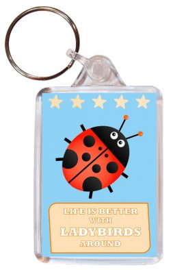 Life is Better with Ladybirds around - Double Sided Large Keyring Key Fob Chain Ring Gift Present Souvenir Ladybird