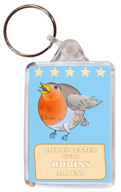 Life is Better with Robins around - Double Sided Large Keyring Key Fob Chain Ring Gift Present Souvenir Robin
