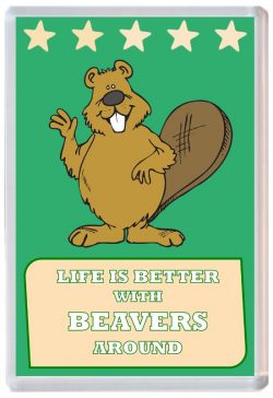 Life is Better with Beavers around - Jumbo Fridge Magnet Souvenir Present Beaver