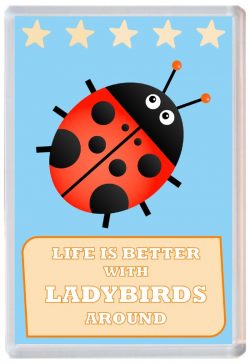 Life is Better with Ladybirds around - Jumbo Fridge Magnet Souvenir Present Ladybird
