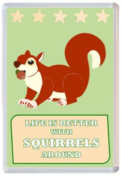 Life is Better with Squirrels around - Jumbo Fridge Magnet Souvenir Present Squirrel