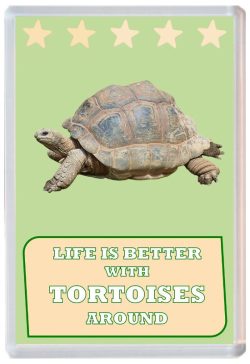 Life is Better with Tortoises around - Jumbo Fridge Magnet Souvenir Present Tortoise
