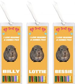 3 x I Love Reading & Guinea Pigs/Pig - Personalised Bookmark