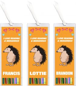3 x I Love Reading & Hedgehogs/Hedgehog - Personalised Bookmark