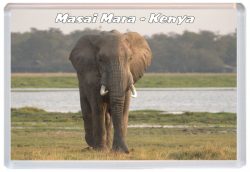 Masai Mara - Kenya - Africa - Jumbo Fridge Magnet 21K3
