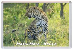 Masai Mara - Kenya - Africa - Jumbo Fridge Magnet 21K4