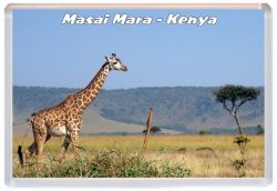 Masai Mara - Kenya - Africa - Jumbo Fridge Magnet 21K1