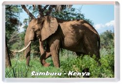Samburu - Kenya - Africa - Jumbo Fridge Magnet 21K2