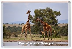 Samburu - Kenya - Africa - Jumbo Fridge Magnet 21K3