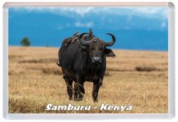 Samburu - Kenya - Africa - Jumbo Fridge Magnet 21K4