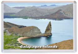 Galapagos Islands - Ecuador - Jumbo Fridge Magnet 22E1