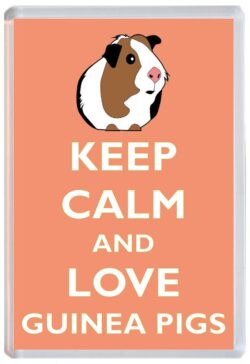 Keep Calm and Love Guinea Pigs/Pig - Jumbo Fridge Magnet